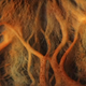 Illustration for article titled Microscope Image Or Alien Planet -- Can You Tell The Difference?